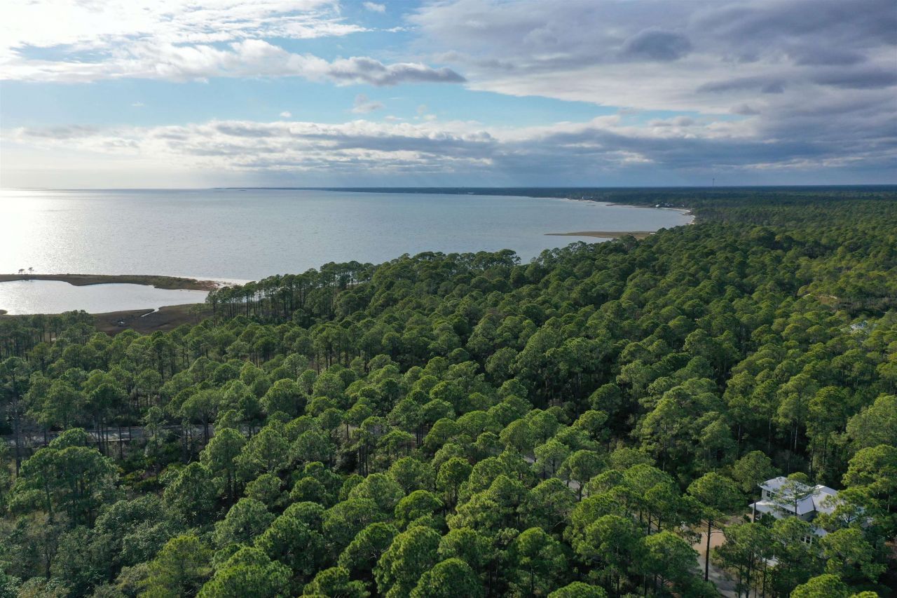 160 Bunkhouse Drive, Saint Teresa, FL 32358 Photo