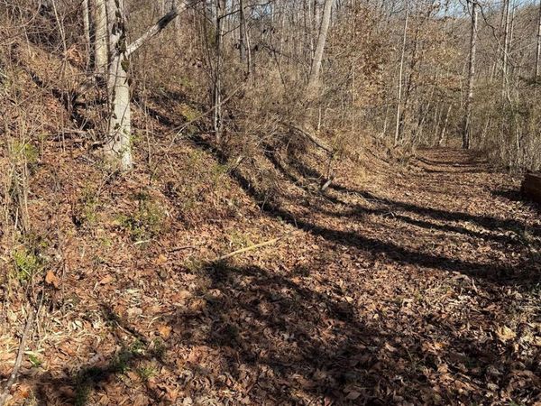 000 E Rambling Creek Road , Tryon, NC 28782