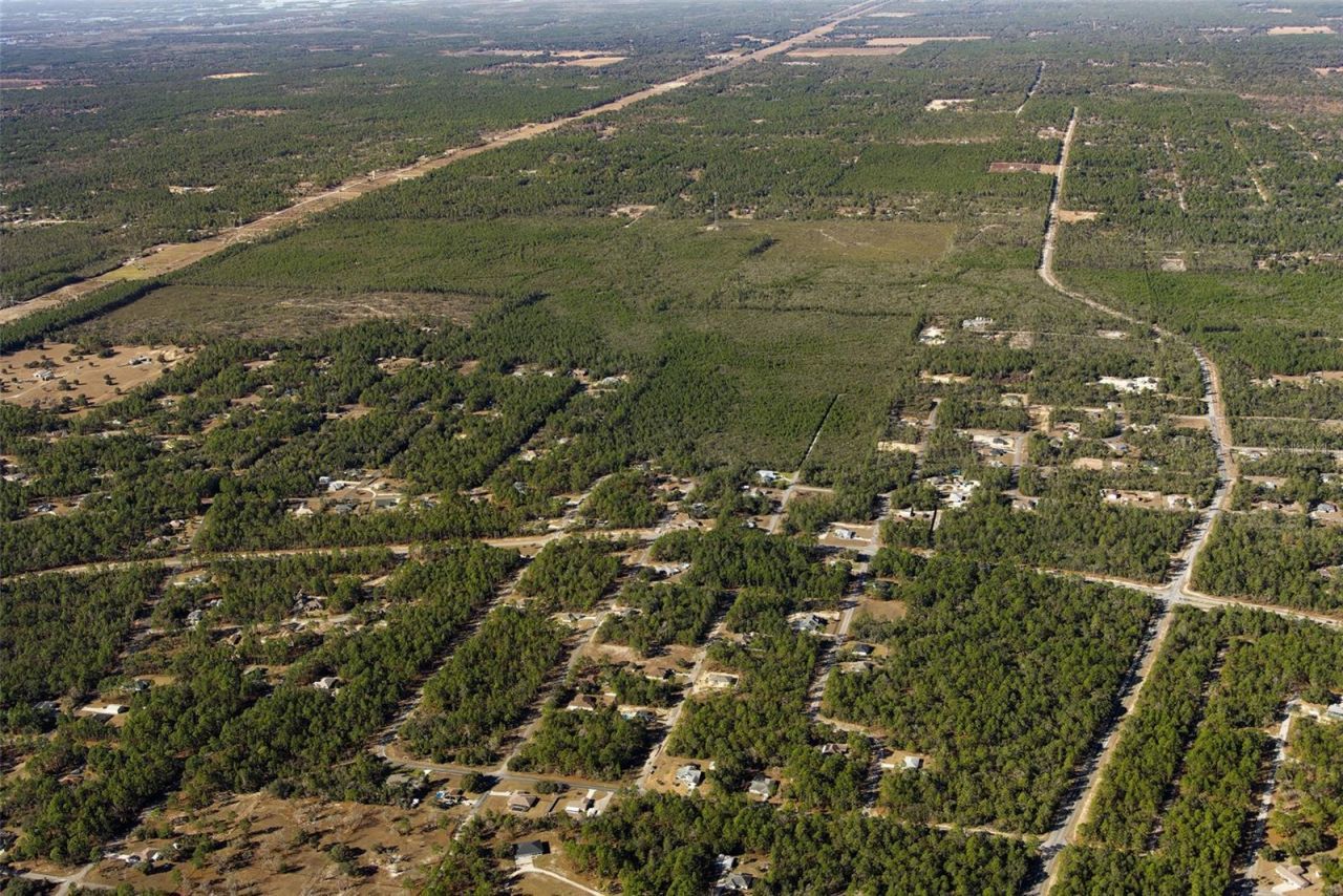 7759 N Freemantle Way, Dunnellon, FL 34433 Photo