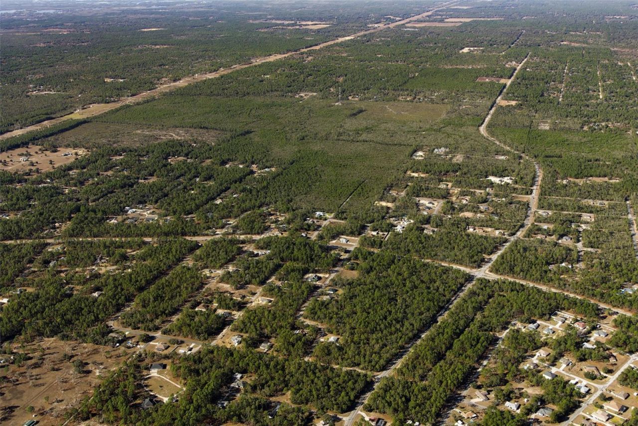 7759 N Freemantle Way, Dunnellon, FL 34433 Photo