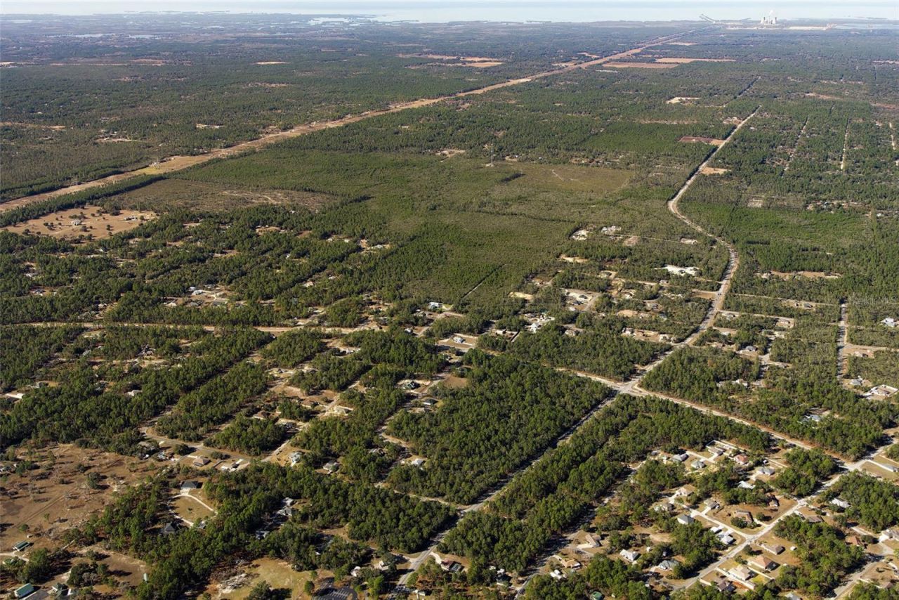 7759 N Freemantle Way, Dunnellon, FL 34433 Photo