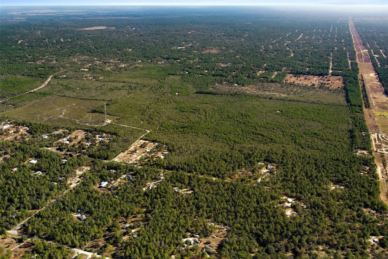 7759 N Freemantle Way, Dunnellon, FL 34433 Photo