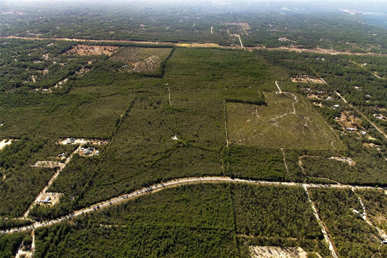 7759 N Freemantle Way, Dunnellon, FL 34433 Photo