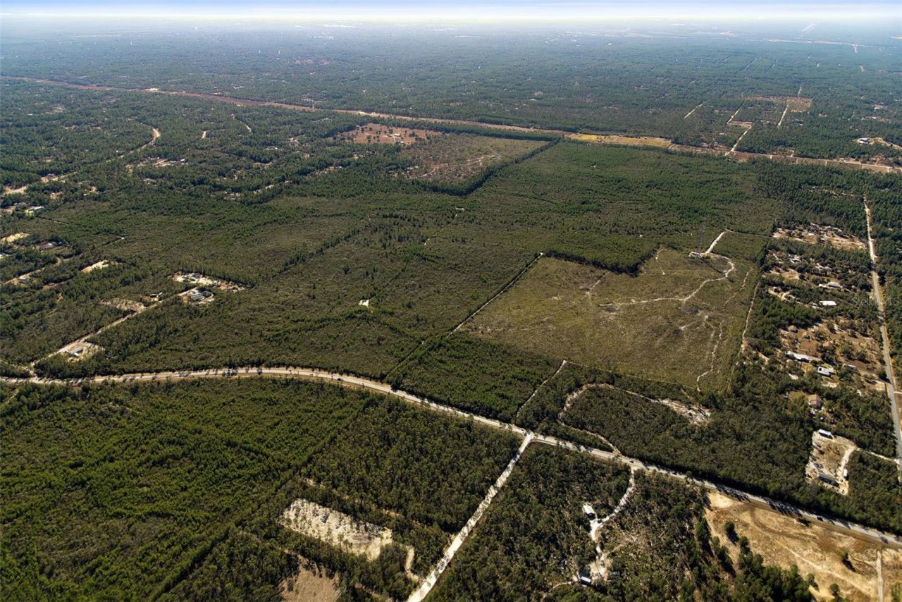 7759 N Freemantle Way, Dunnellon, FL 34433 Photo