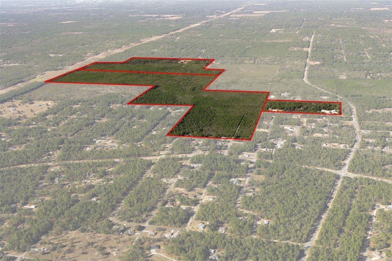 7759 N Freemantle Way, Dunnellon, FL 34433 Photo