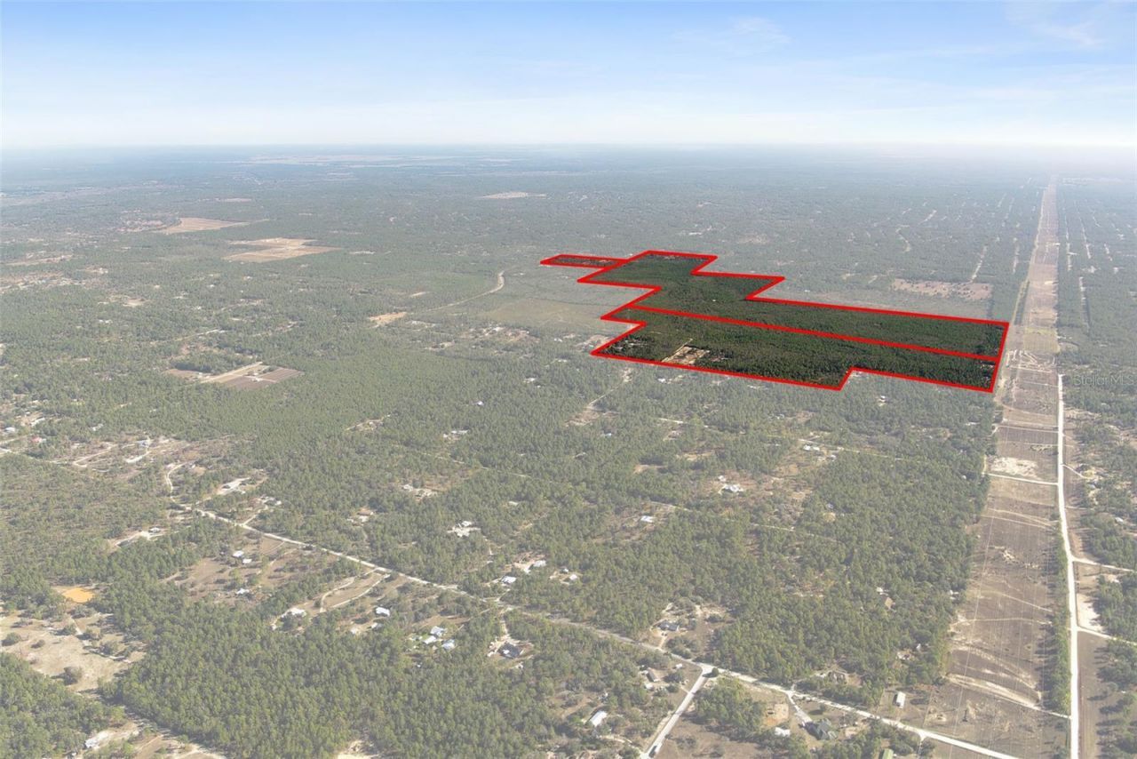 7759 N Freemantle Way, Dunnellon, FL 34433 Photo