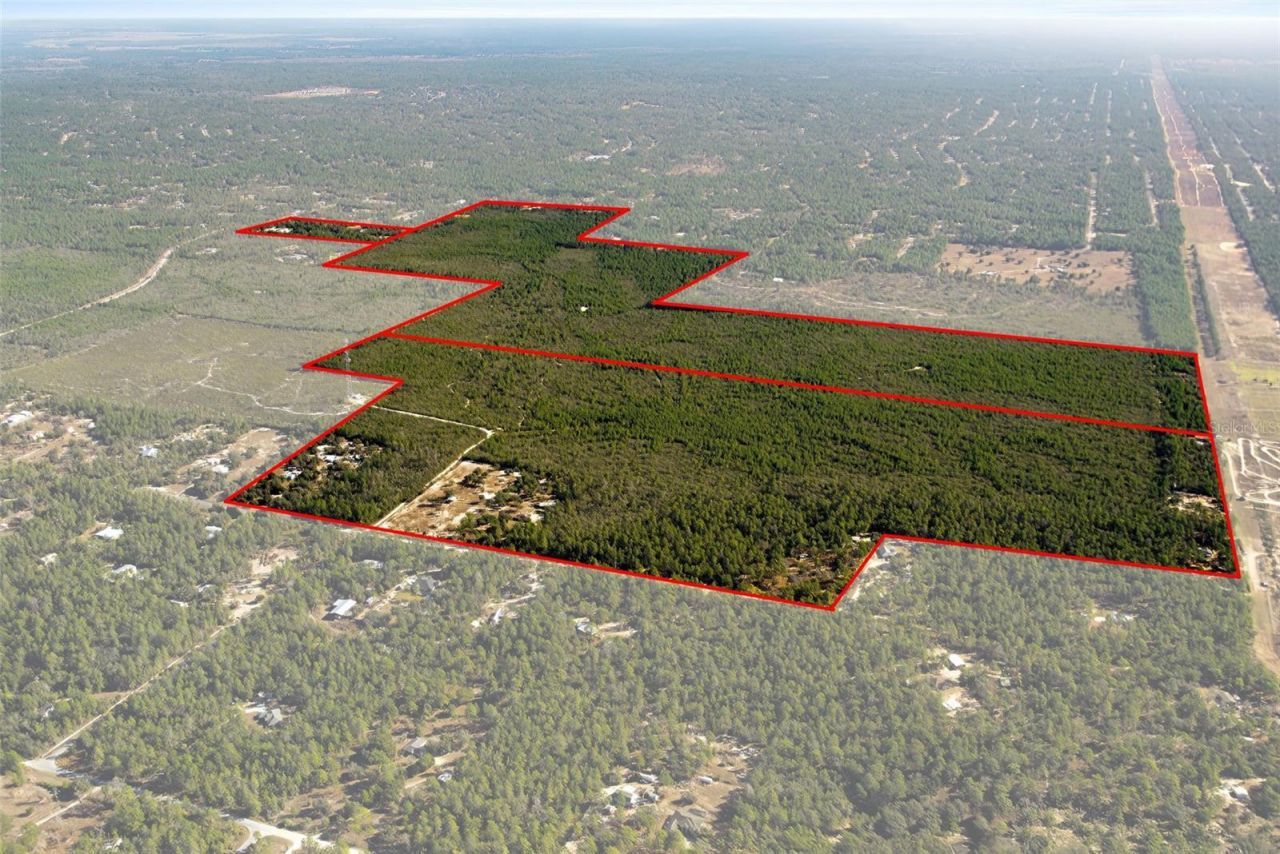 7759 N Freemantle Way, Dunnellon, FL 34433 Photo