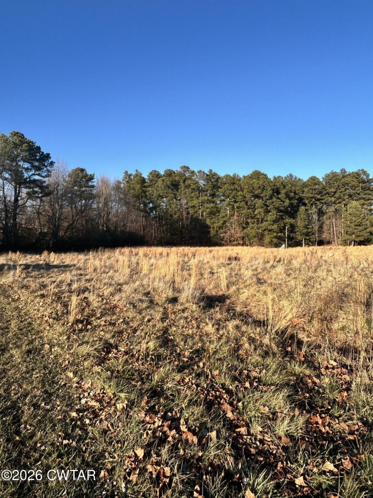 00 Highway 79, Gadsden, TN 38337 Main Photo