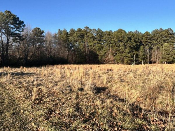 00 Highway 79, Gadsden, TN 38337