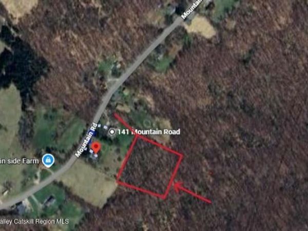 Tbd Mountain Road, Mamakating, NY 12566