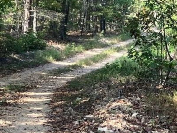 186 Madison CR 410, Fredericktown, MO 63645