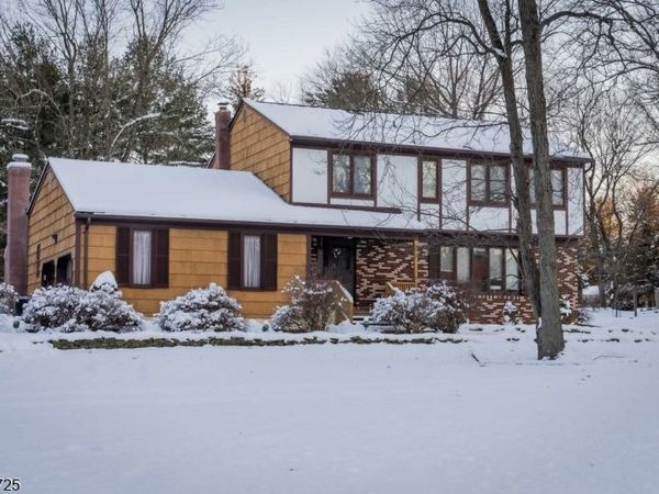 4 Hickory Ln, Readington, NJ 08889