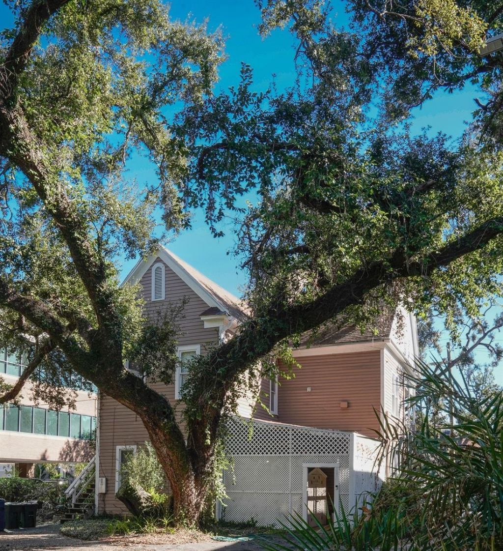 333 S Plant Avenue, Tampa, FL 33606 Photo