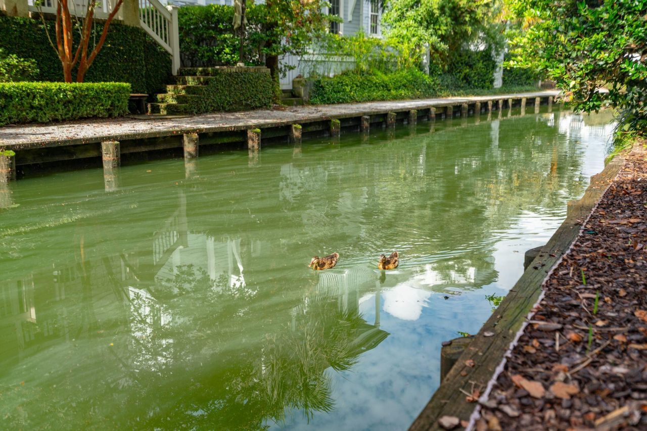 31 John Galt Way Photo 40