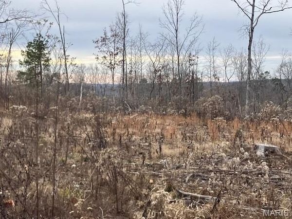 189 Madison CR 410, Fredericktown, MO 63645