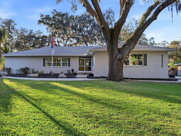 30424 HILLSIDE LANE, WESLEY CHAPEL, FL 33545