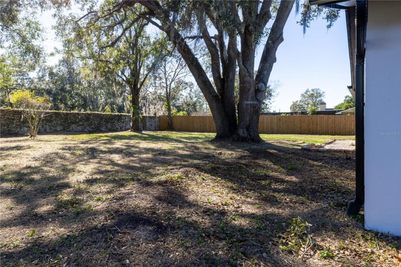 9209 Kingsridge Drive, Temple Terrace, FL 33637 Photo