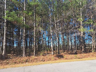 01 Antioch, Santee, SC 29142