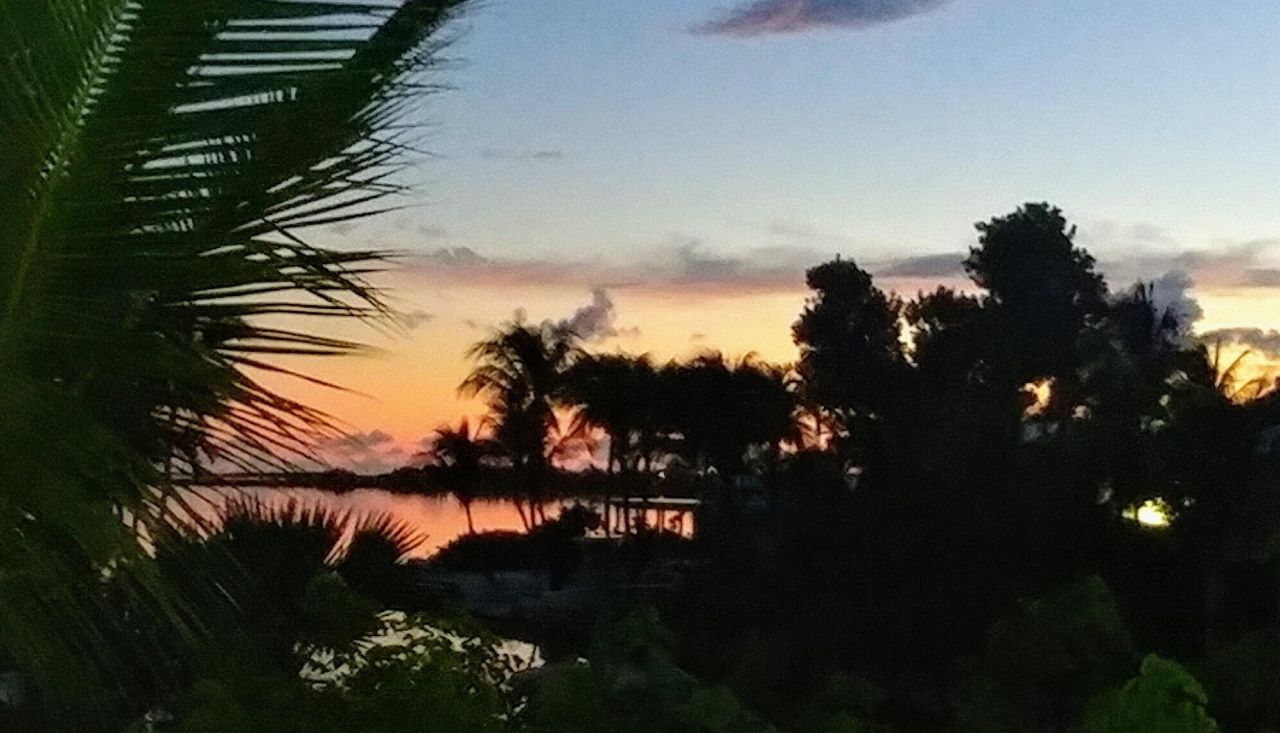 24 Tamarind Drive, Big Coppitt, FL 33040 Photo