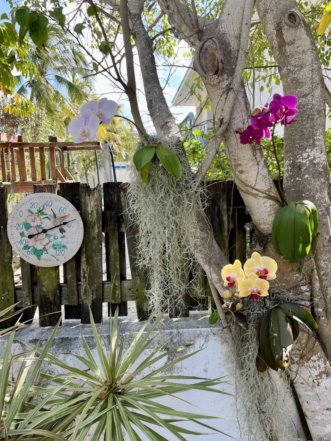 24 Tamarind Drive, Big Coppitt, FL 33040 Photo