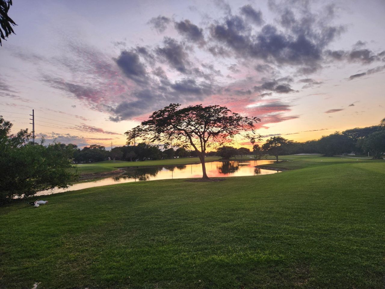 20 Kingfisher Lane, Key West, FL 33040 Photo