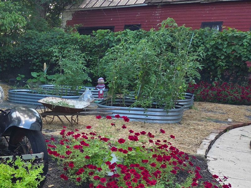 30869 State Route 180, Laurelville, OH 43135 Photo 57