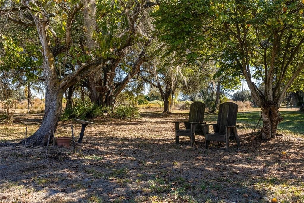 990 Morris Taylor Rd, Felda, FL 33930 Photo