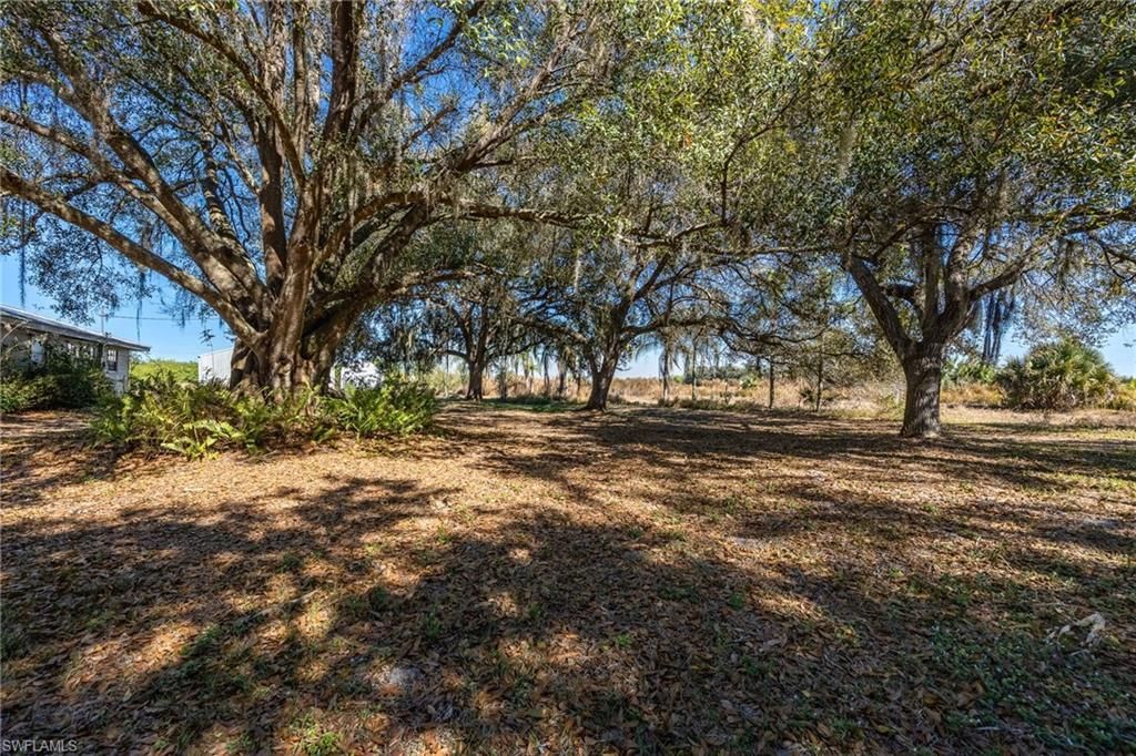 990 Morris Taylor Rd, Felda, FL 33930 Photo