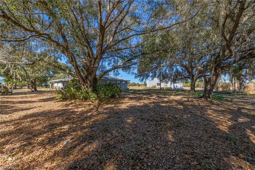 990 Morris Taylor Rd, Felda, FL 33930 Photo