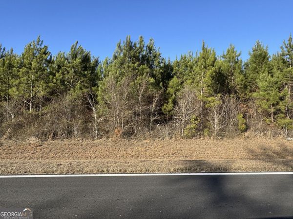 LOT 5A Whitfield Road, Elko, GA 31025