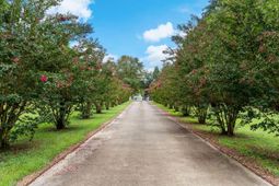 180 Rivers Turn Road photo 4