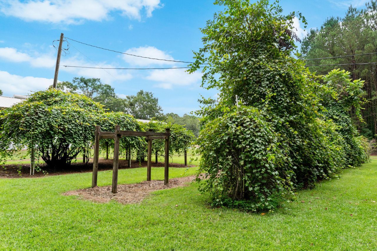 180 Rivers Turn Road Photo 46