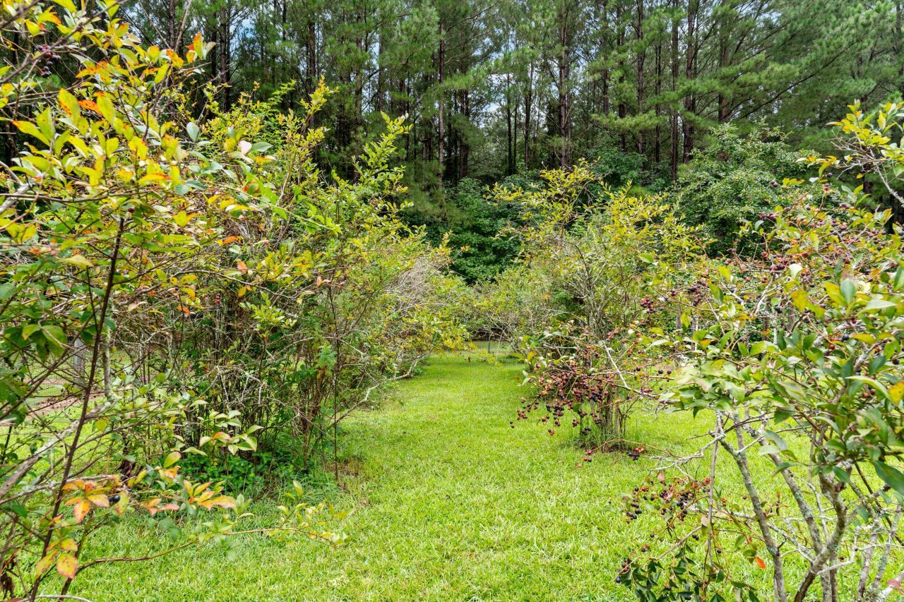 180 Rivers Turn Road Photo 48