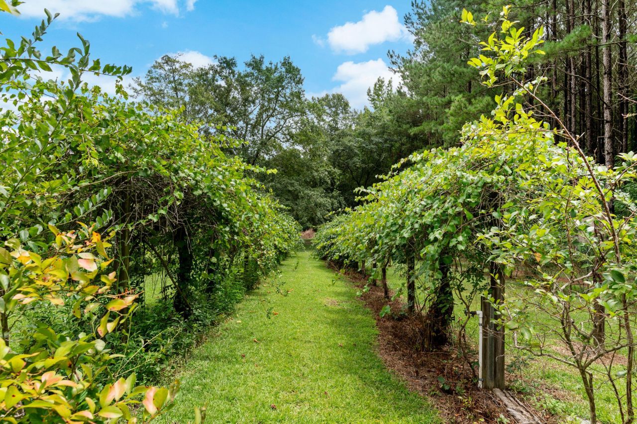 180 Rivers Turn Road Photo 53