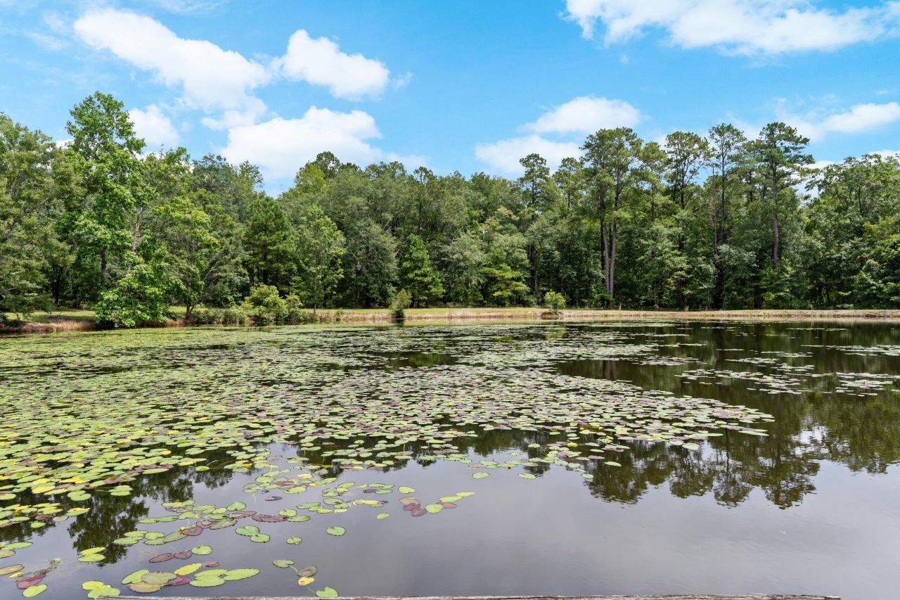 180 Rivers Turn Road Photo 57