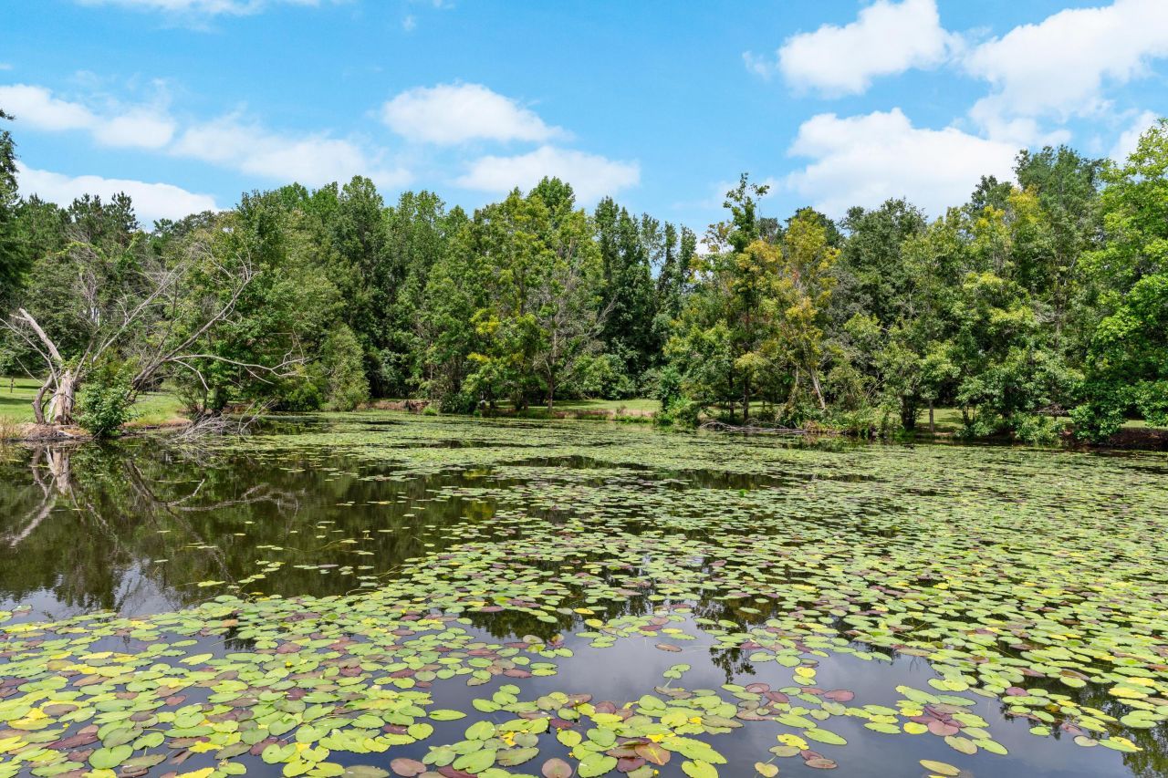 180 Rivers Turn Road Photo 59