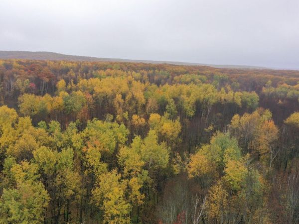 16XXX W County Road O, Weyerhaeuser, WI 54895