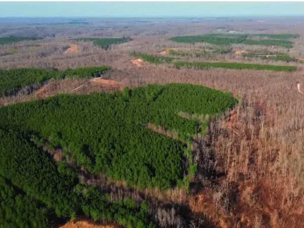 39 Ivy Hollow Ln, Stewart, TN 37175