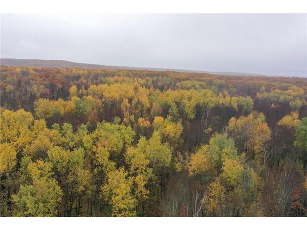 16XXX County Road O, Weyerhaeuser, WI 54895