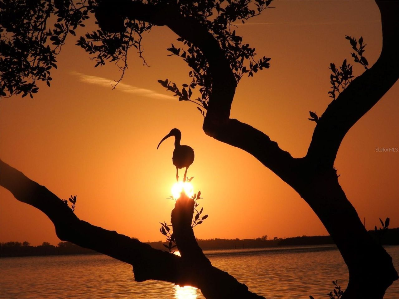 4409 Mount Vernon Drive, Bradenton, FL 34210 Photo