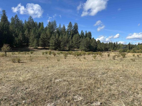 47161.0305 N Northwood Dr, Mead, WA 99021