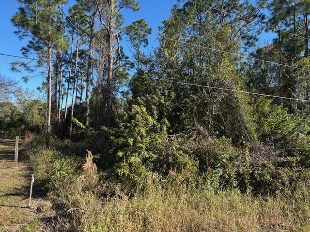 13636 Sulky Drive, Punta Gorda, FL 33955 Photo