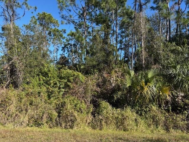 13636 Sulky Drive, Punta Gorda, FL 33955 Photo
