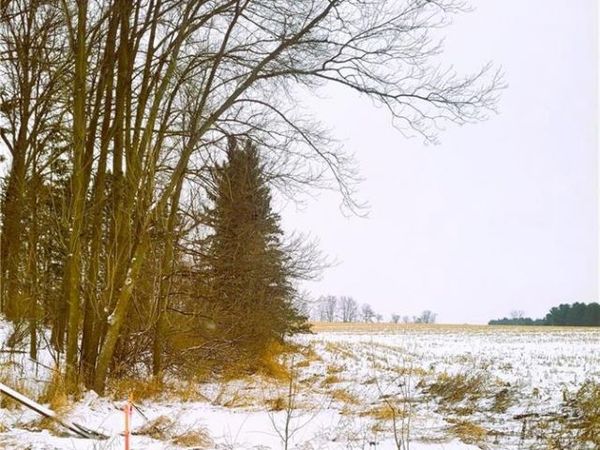 0000 County Hwy B Lot 4, Neillsville, WI 54456