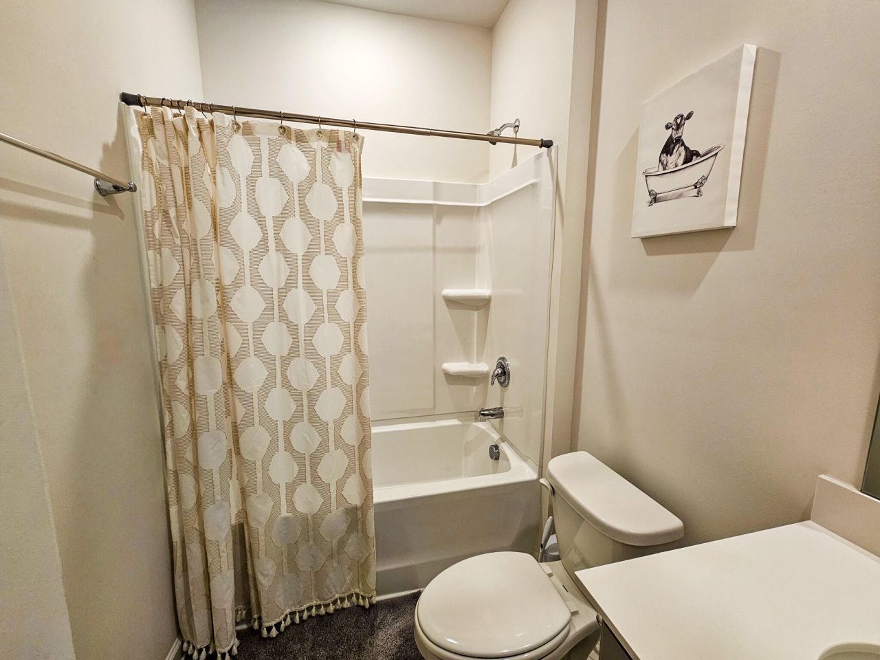 1253 Mosser Drive Photo 34