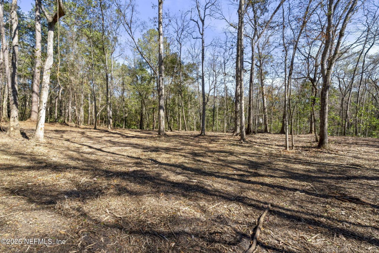 2764 Indigo Circle, Middleburg, FL 32068 Main Photo