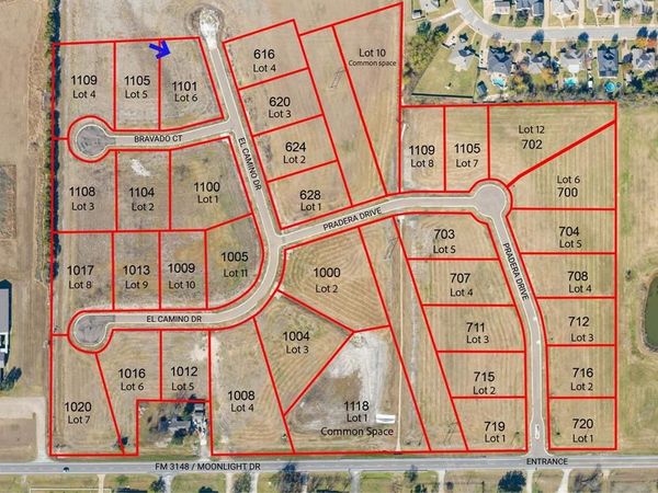 1101 Bravado Court , Robinson, TX 76706