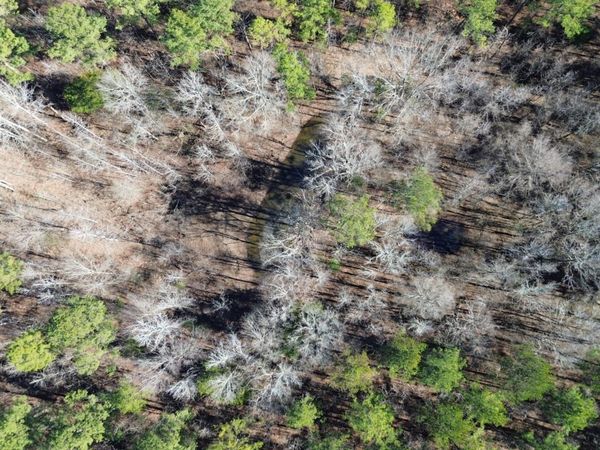 Maben Bell Schoolhouse, Maben, MS 39755