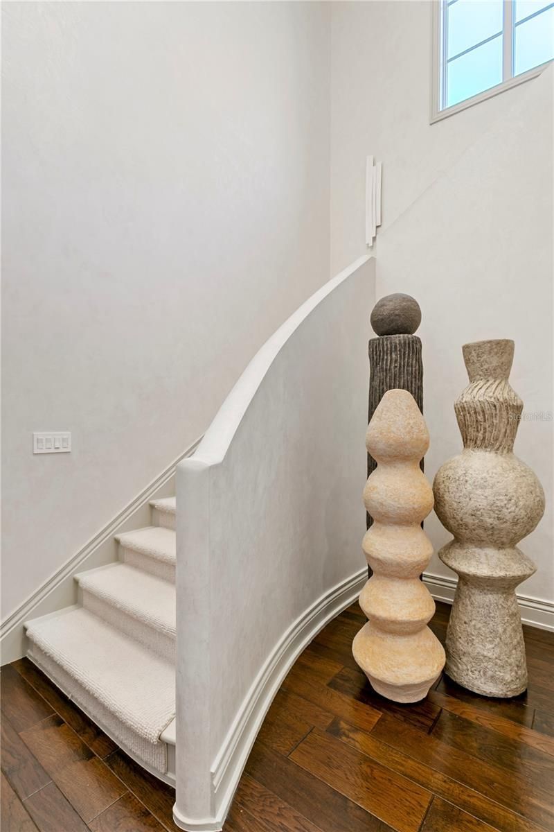 4518 W Rosemere Road, Tampa, FL 33609 Photo