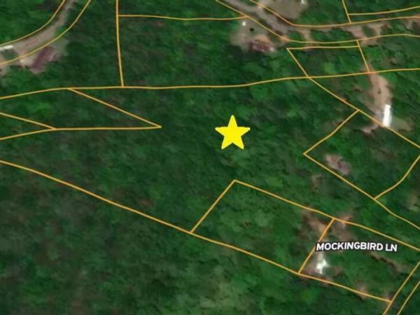 0 Hicks Hollow Road, Trenton, GA 30752